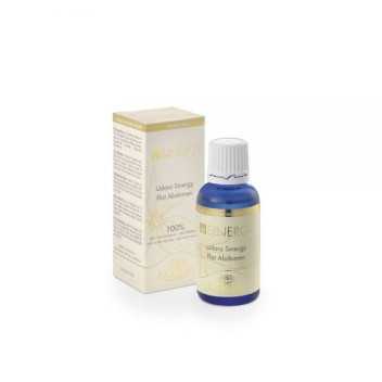 Udara Synergie - 1