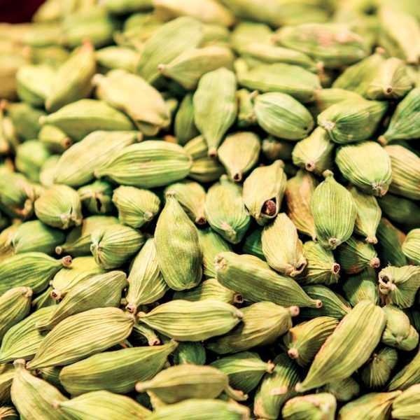 Cardamom - 1