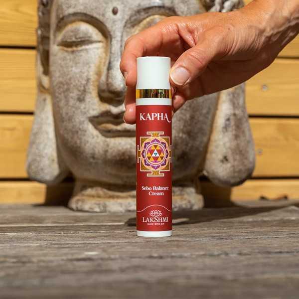 Sebo Balance Cream - 1